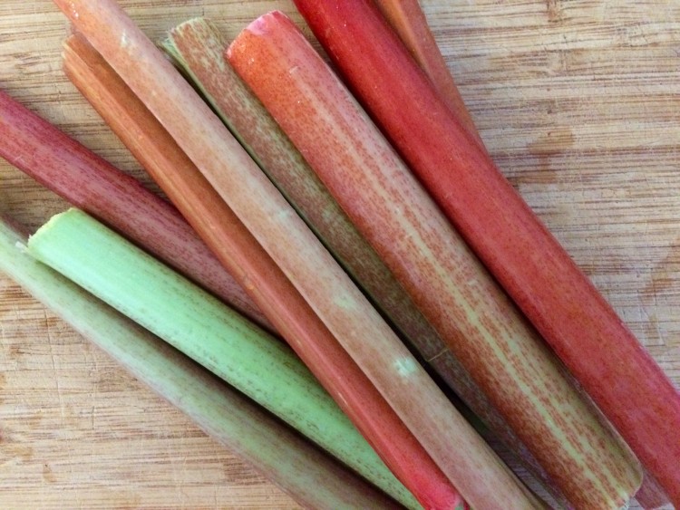 rhubarb 1